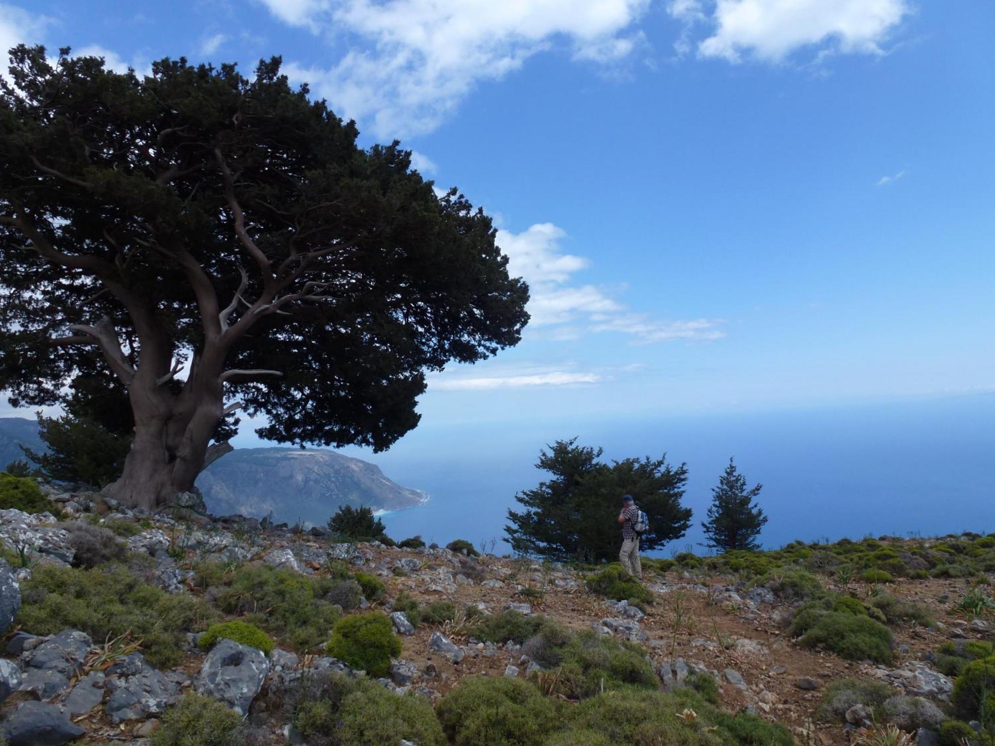 Appartamento Calypso Agia Roumeli Esterno foto